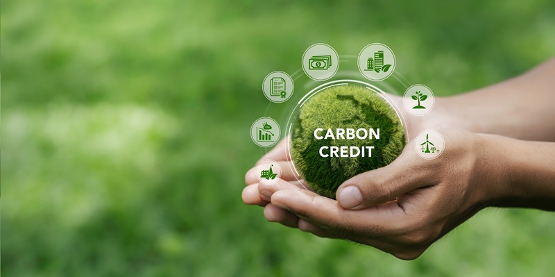 Shutterstock 2323381839 0